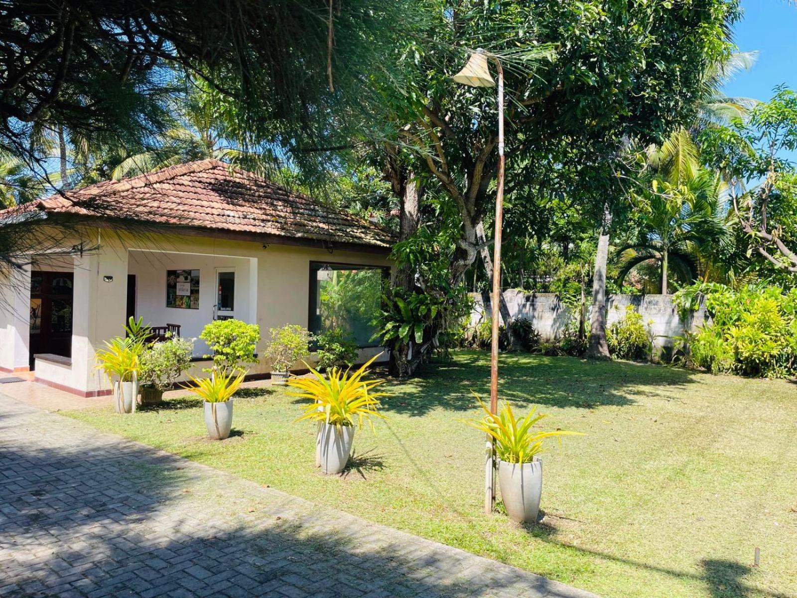 Hotel The Beez Negombo Exterior foto